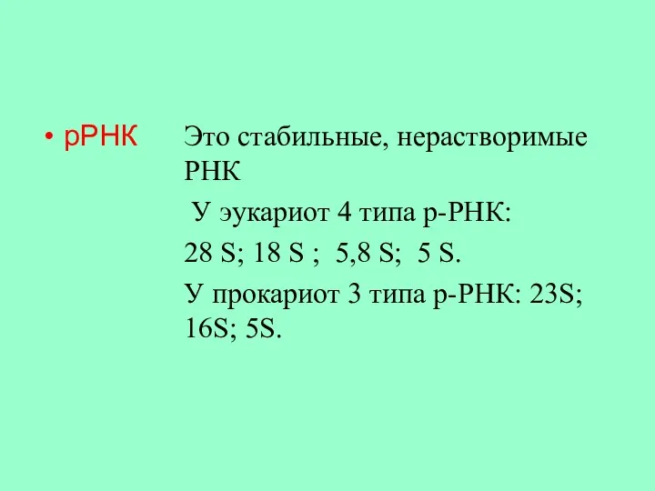 рРНК Это стабильные, нерастворимые РНК У эукариот 4 типа р-РНК: 28 S; 18