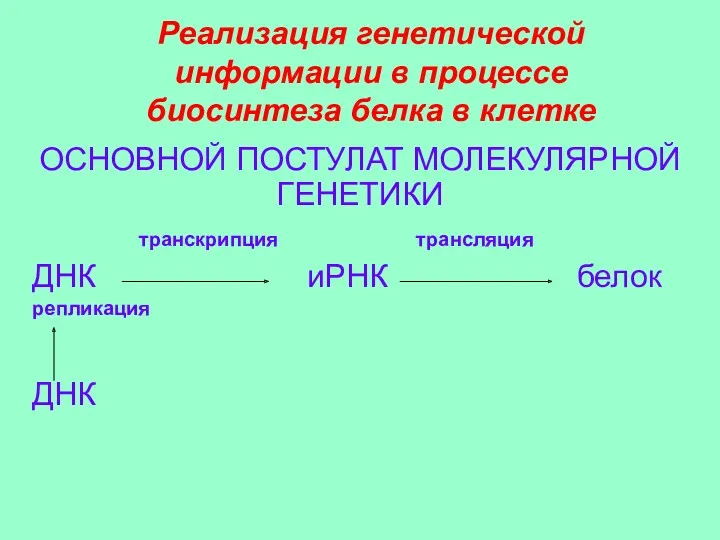 Реализация генетической информации в процессе биосинтеза белка в клетке ОСНОВНОЙ ПОСТУЛАТ МОЛЕКУЛЯРНОЙ ГЕНЕТИКИ