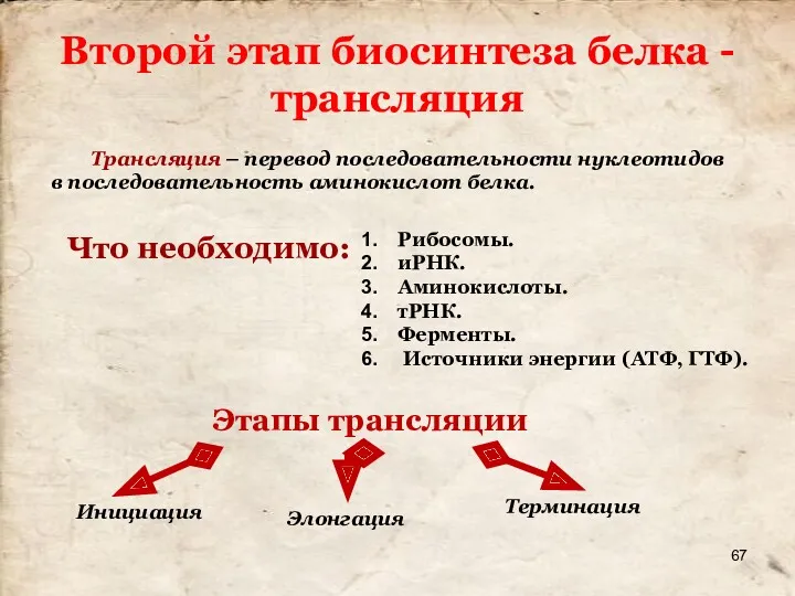 Второй этап биосинтеза белка - трансляция Трансляция – перевод последовательности