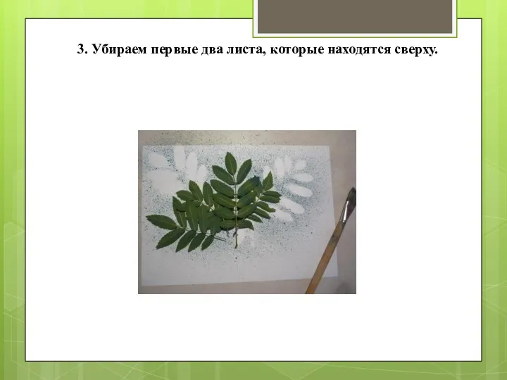 3. Убираем первые два листа, которые находятся сверху.