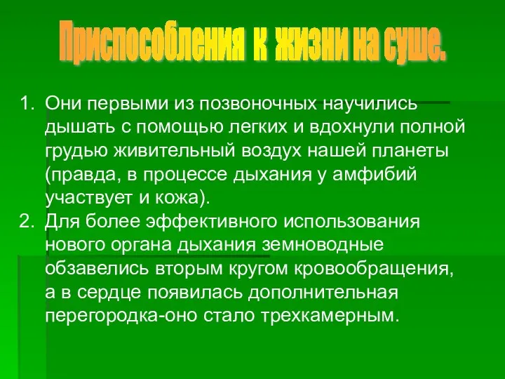 Приспособления к жизни на суше. Они первыми из позвоночных научились