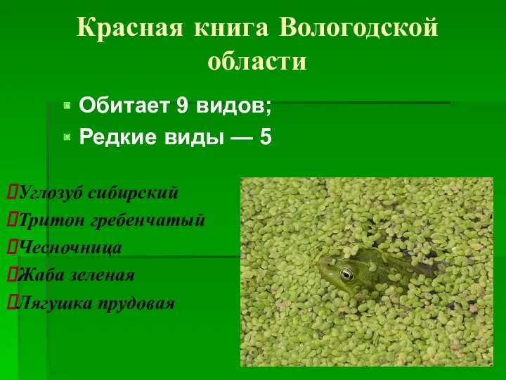 Красная книга Вологодской области Обитает 9 видов; Редкие виды —