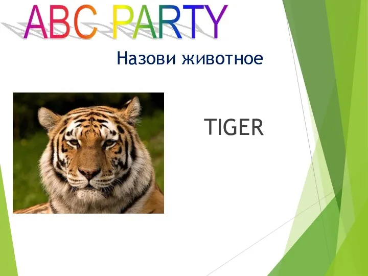 TIGER Назови животное