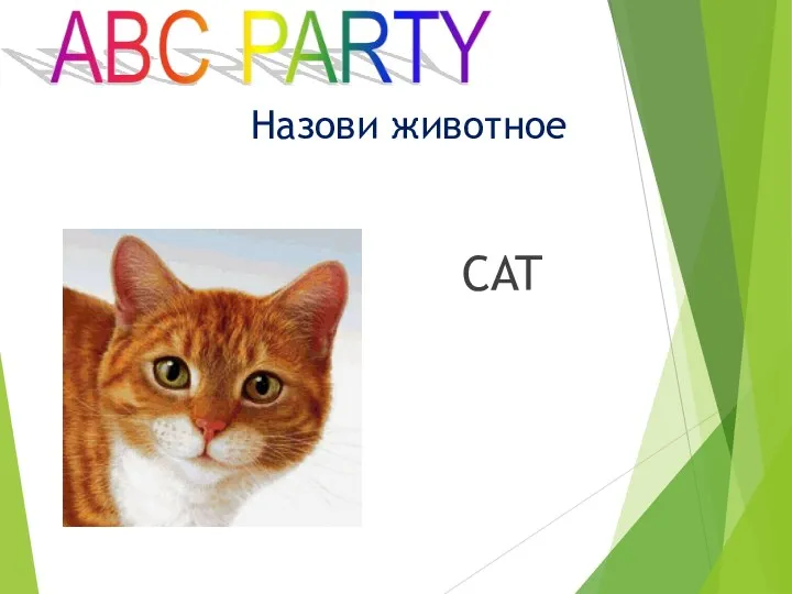 CAT Назови животное