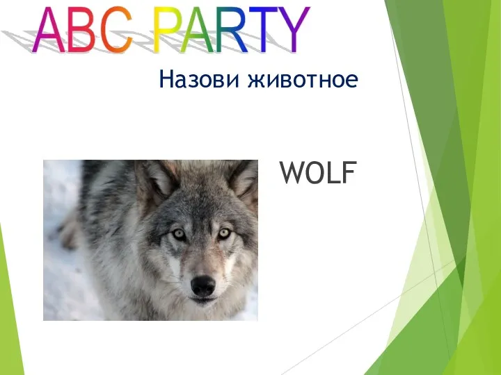 WOLF Назови животное