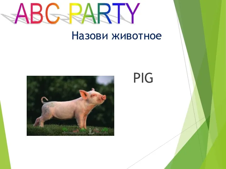 PIG Назови животное