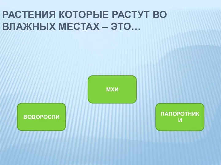 РАСТЕНИЯ КОТОРЫЕ РАСТУТ ВО ВЛАЖНЫХ МЕСТАХ – ЭТО… МХИ ВОДОРОСЛИ ПАПОРОТНИКИ