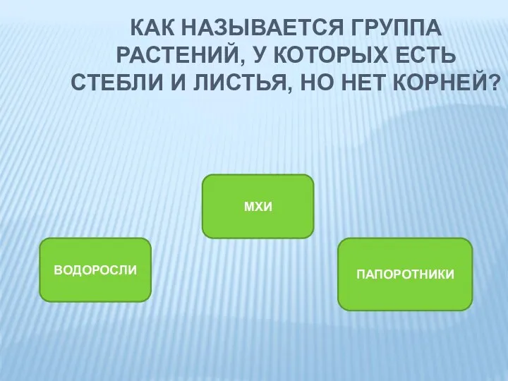 КАК НАЗЫВАЕТСЯ ГРУППА РАСТЕНИЙ, У КОТОРЫХ ЕСТЬ СТЕБЛИ И ЛИСТЬЯ, НО НЕТ КОРНЕЙ? МХИ ВОДОРОСЛИ ПАПОРОТНИКИ