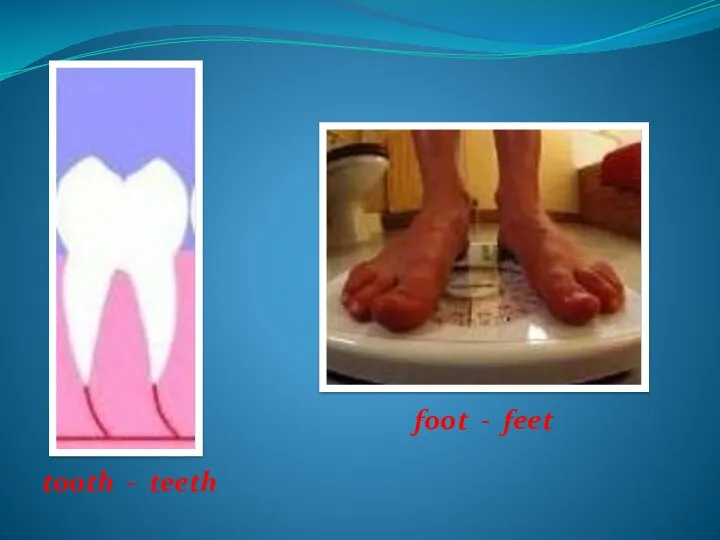 tooth - teeth foot - feet