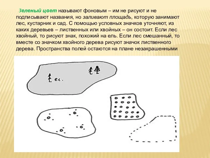 Зеленый цвет называют фоновым – им не рисуют и не