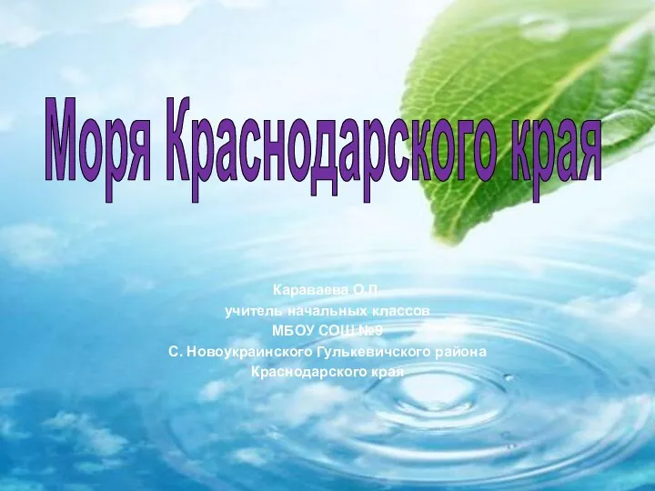 Презентация к уроку кубановедения Моря Краснодарского края
