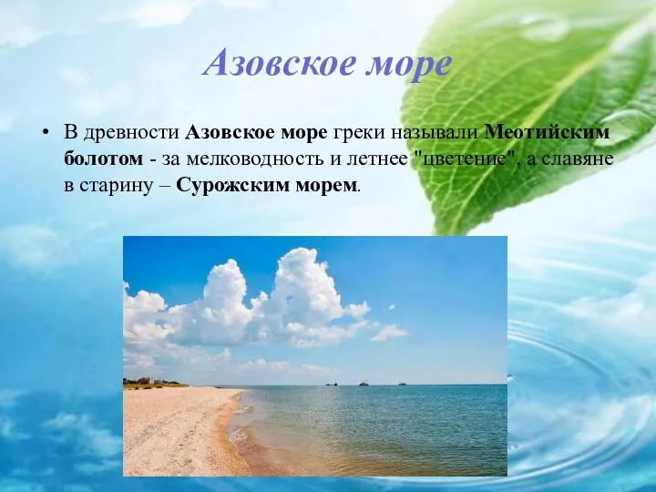 Азовское море В древности Азовское море греки называли Меотийским болотом