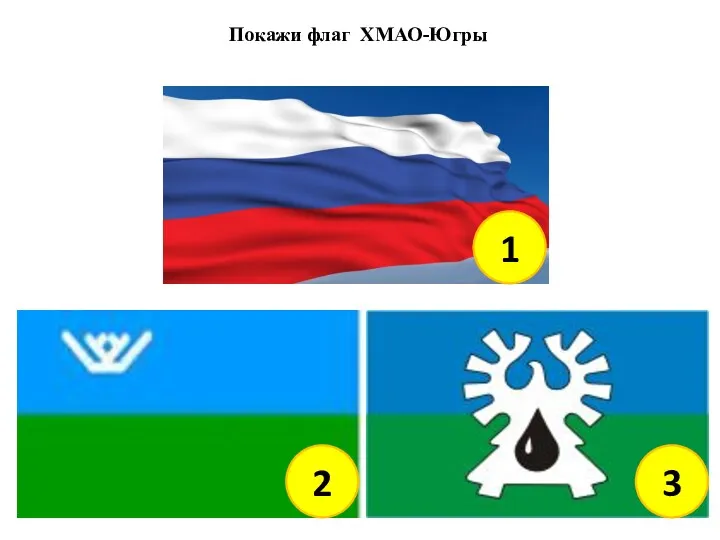 Покажи флаг ХМАО-Югры 1 2 3
