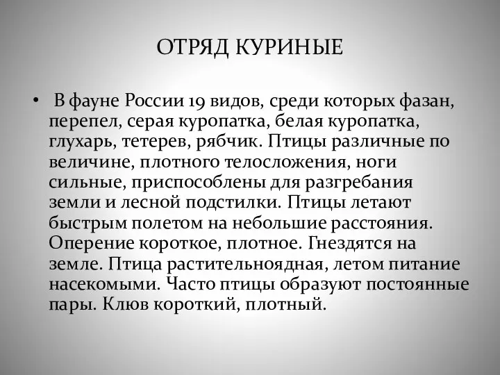 ОТРЯД КУРИНЫЕ В фауне России 19 видов, среди которых фазан,