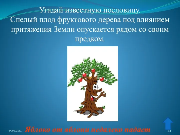 Угадай известную пословицу. Спелый плод фруктового дерева под влиянием притяжения