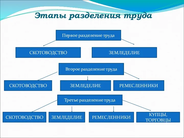 Этапы разделения труда СКОТОВОДСТВО ЗЕМЛЕДЕЛИЕ Первое разделение труда Второе разделение труда СКОТОВОДСТВО ЗЕМЛЕДЕЛИЕ