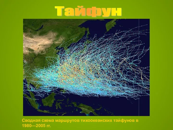 Тайфун Сводная схема маршрутов тихоокеанских тайфунов в 1980—2005 гг.