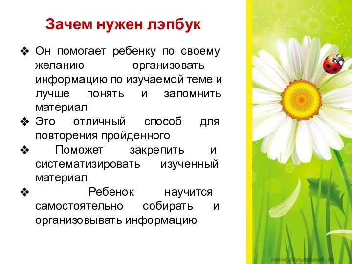 Зачем нужен лэпбук Он помогает ребенку по своему желанию организовать