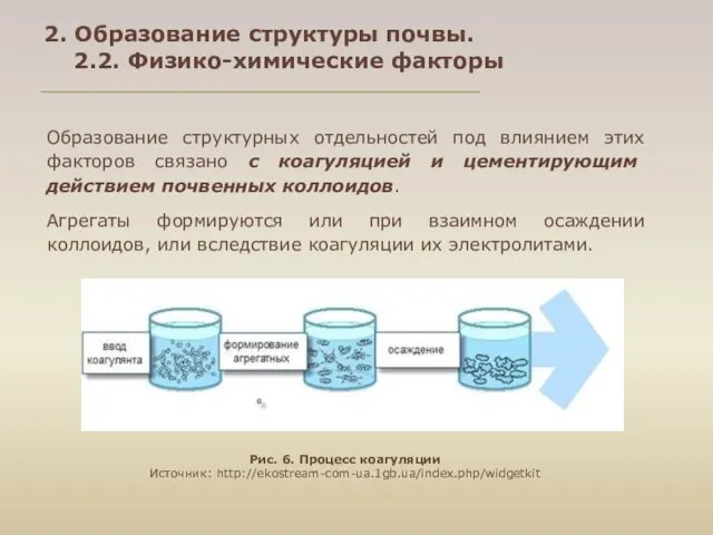 2. Образование структуры почвы. 2.2. Физико-химические факторы Образование структурных отдельностей