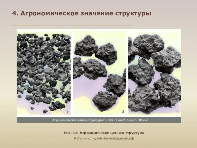 Рис. 18. Агрономически ценная структура Источник: музей-почвоведения.рф 4. Агрономическое значение структуры