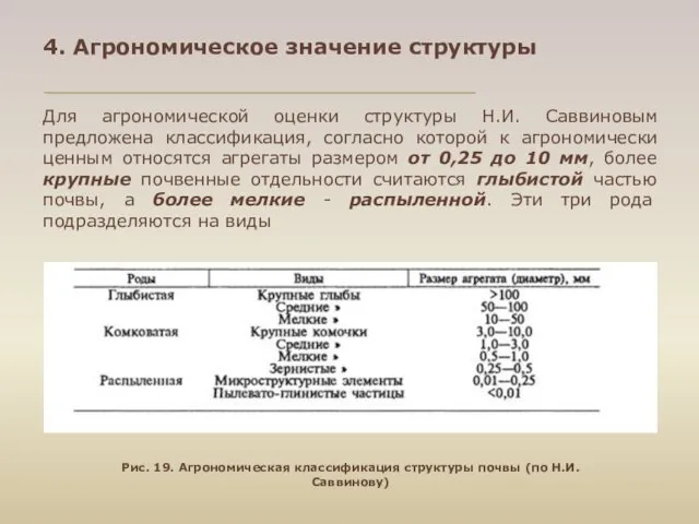 Для агрономической оценки структуры Н.И. Саввиновым предложена классификация, согласно которой