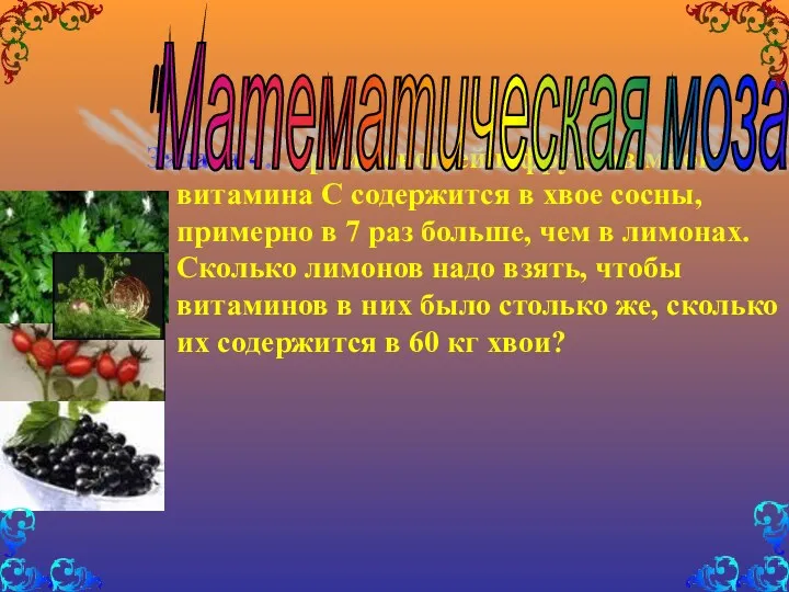 Задача 4. Кроме овощей и фруктов много витамина С содержится в хвое сосны,