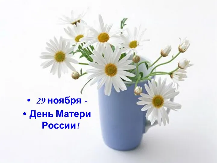 . 29 ноября - День Матери России!