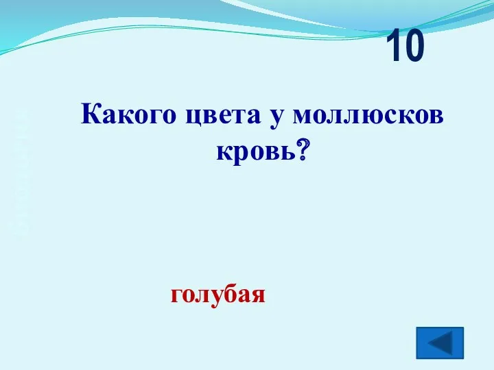 биология Какого цвета у моллюсков кровь? 10 голубая