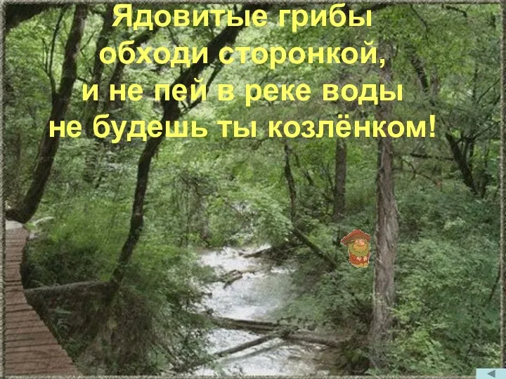 Ядовитые грибы обходи сторонкой, и не пей в реке воды не будешь ты козлёнком!