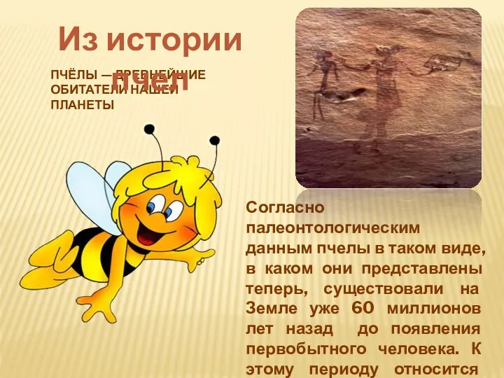 Пчёлы — древнейшие обитатели нашей планеты Согласно палеонтологическим данным пчелы