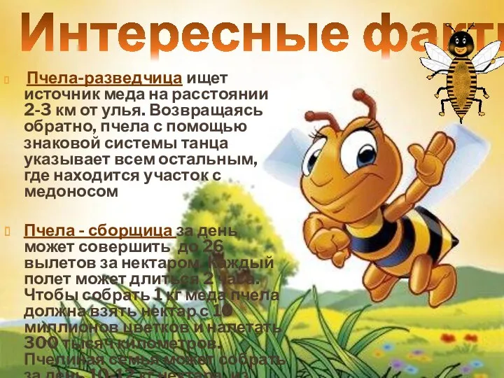 Интересные факты Пчела-разведчица ищет источник меда на расстоянии 2-3 км от улья. Возвращаясь