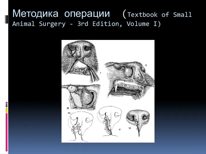Методика операции (Textbook of Small Animal Surgery - 3rd Edition, Volume I)