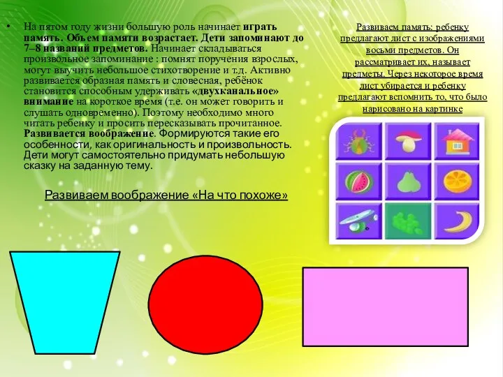 На пятом году жизни большую роль начинает играть память. Объем памяти возрастает. Дети