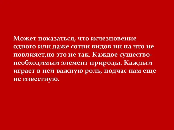 Может показаться, что исчезновение одного или даже сотни видов ни