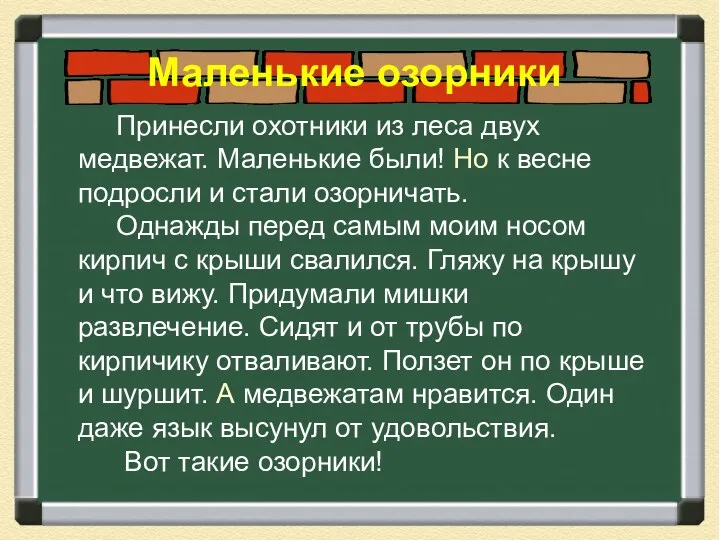 Принесли охотники из леса двух медвежат. Маленькие были! Но к