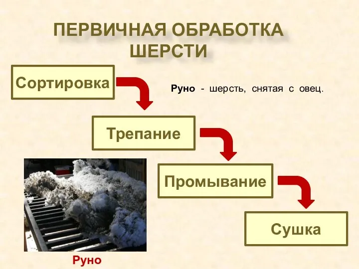 первичная обработка шерсти Сортировка Трепание Промывание Сушка Руно Руно - шерсть, снятая с овец.