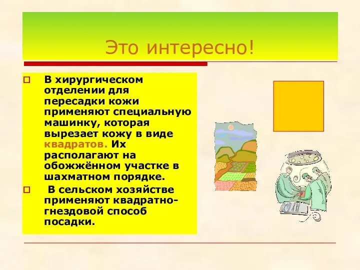 Это интересно! В хирургическом отделении для пересадки кожи применяют специальную