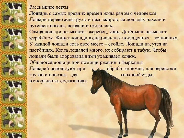 Расскажите детям: Лошадь с самых древних времен жила рядом с человеком. Лошади перевозили