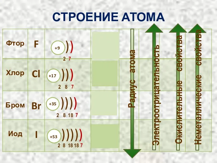 СТРОЕНИЕ АТОМА