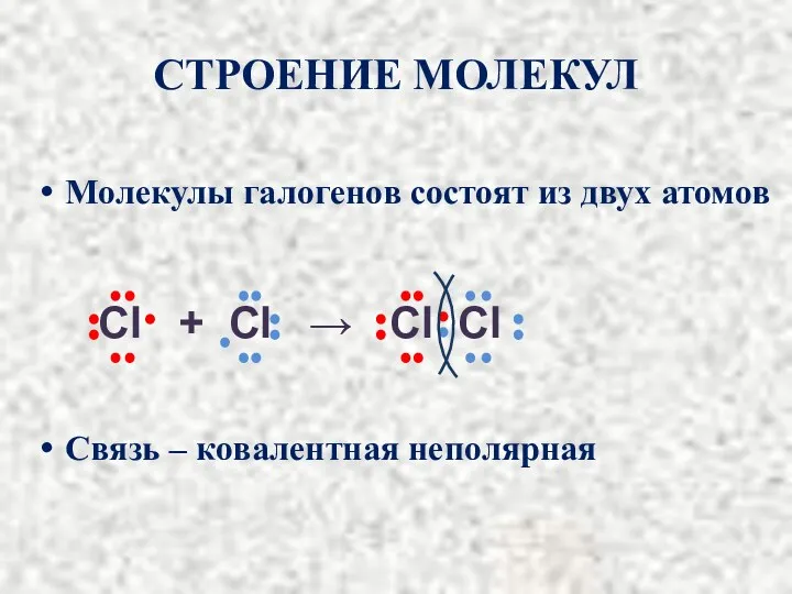 Молекулы галогенов состоят из двух атомов Связь – ковалентная неполярная СТРОЕНИЕ МОЛЕКУЛ