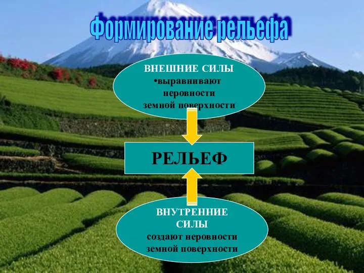 Формирование рельефа ВНЕШНИЕ СИЛЫ выравнивают неровности земной поверхности ВНУТРЕННИЕ СИЛЫ создают неровности земной поверхности РЕЛЬЕФ