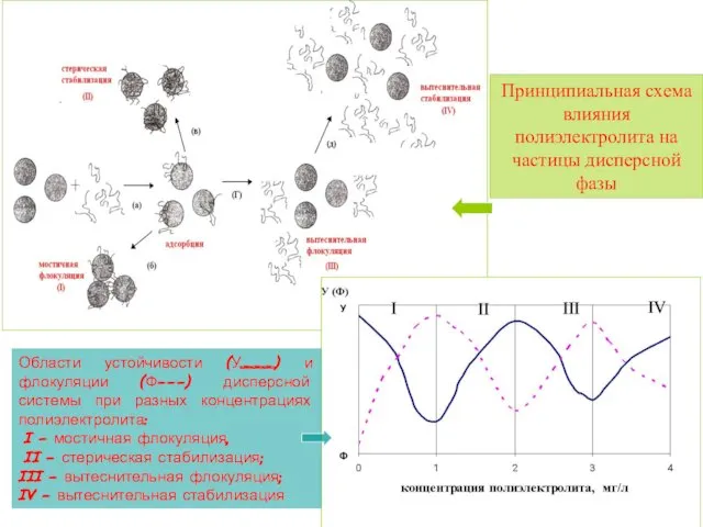 Области устойчивости (У___) и флокуляции (Ф---) дисперсной системы при разных