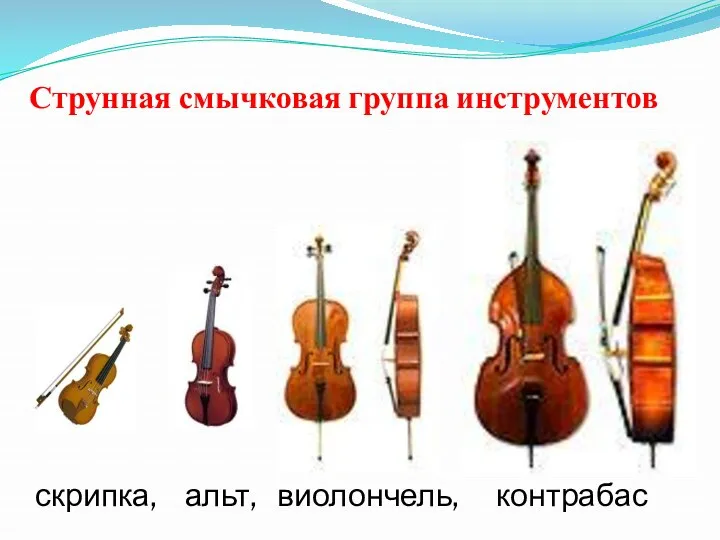 Струнная смычковая группа инструментов скрипка, альт, виолончель, контрабас