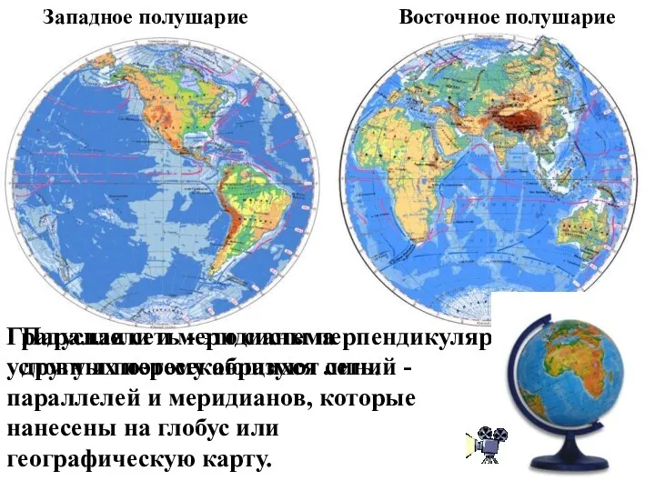 Параллели и меридианы перпендикулярны друг другу и поэтому образуют сеть. Градусная сеть -