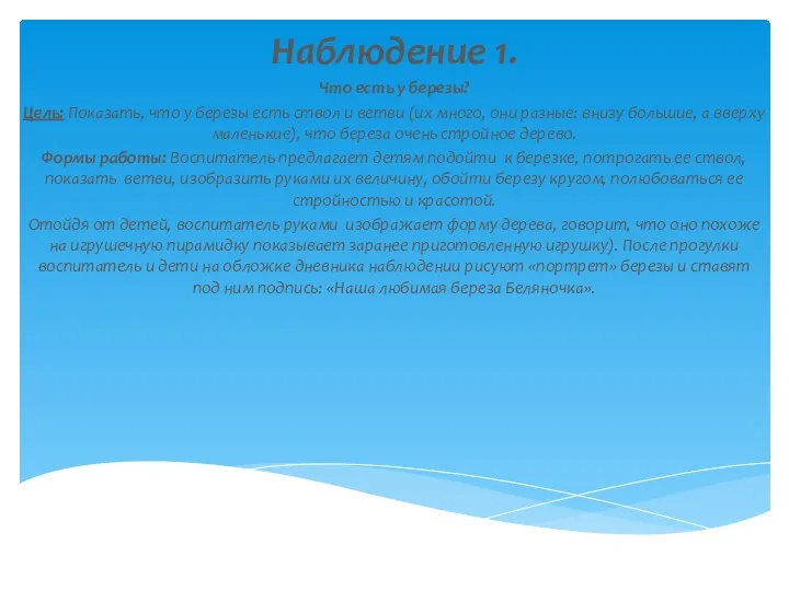 Наблюдение 1. Что есть у березы? Цель: Показать, что у