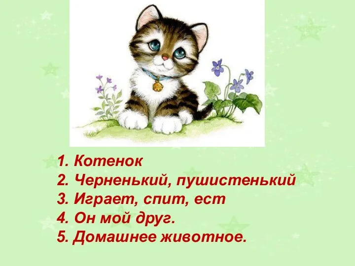 1. Котенок 2. Черненький, пушистенький 3. Играет, спит, ест 4. Он мой друг. 5. Домашнее животное.