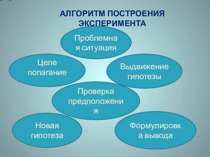 Целе полагание Выдвижение гипотезы Проверка предположения Проблемная ситуация Новая гипотеза Формулировка вывода . Алгоритм построения эксперимента