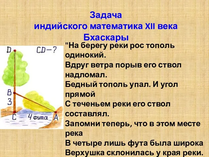 Задача индийского математика XII века Бхаскары "На берегу реки рос тополь одинокий. Вдруг