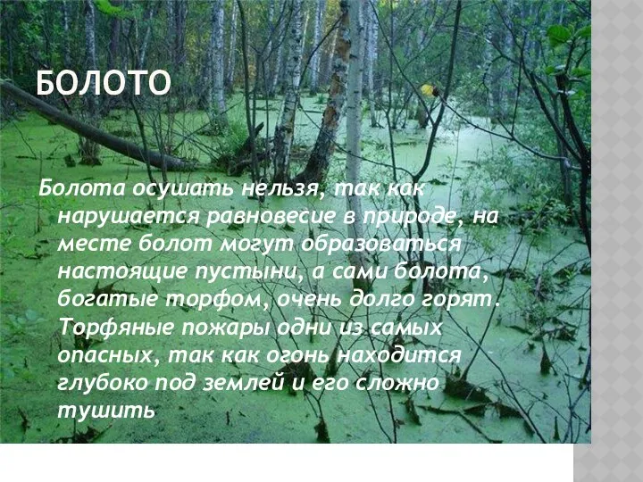 Болото Болота осушать нельзя, так как нарушается равновесие в природе,