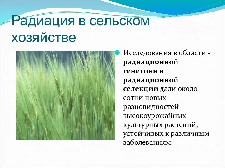 Радиация в сельском хозяйстве Исследования в области - радиационной генетики